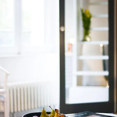 L'hotel Particulier - D'hotes * 南锡