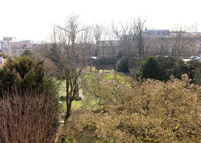 Appartement L'hôtel Particulier - D'hôtes Nancy