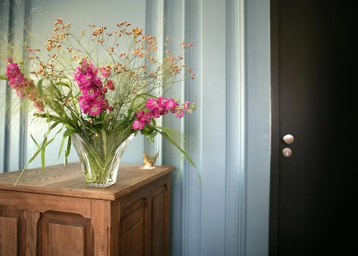 Appartement L'hôtel Particulier - D'hôtes Nancy