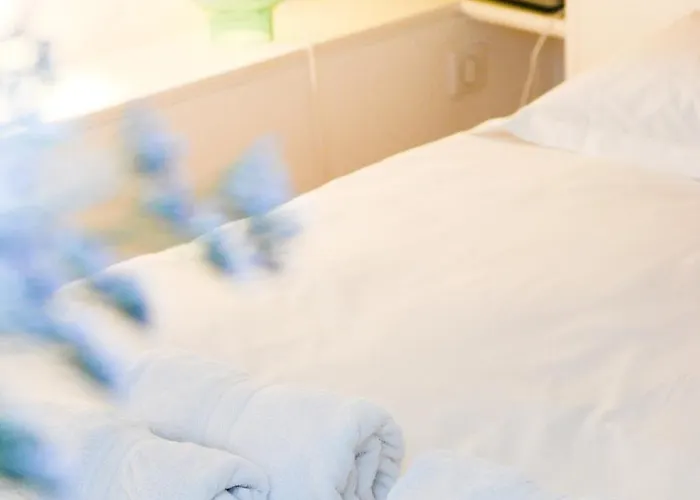 L'hotel Particulier - D'hotes 낭시