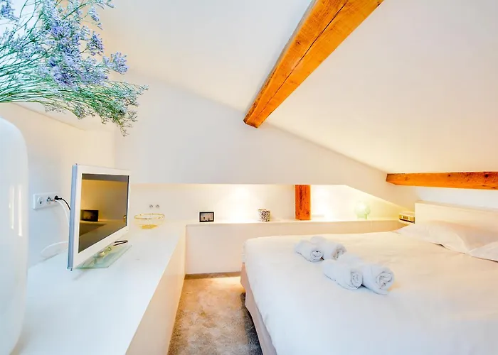 L'hôtel Particulier - D'hôtes Appartement Nancy